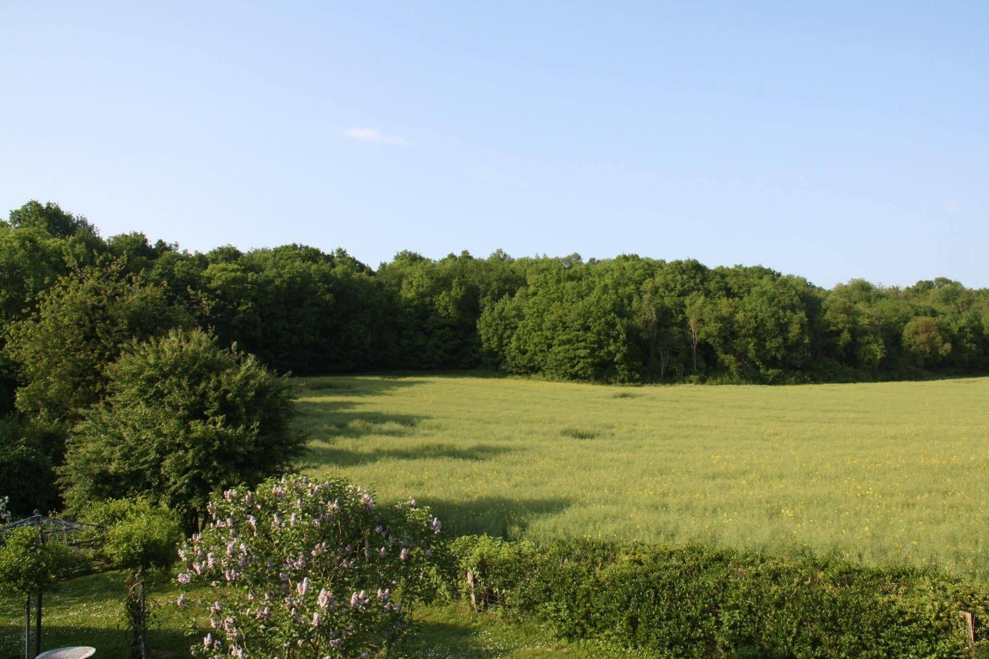 La Raimbaudiere Bed & Breakfast Guigneville-sur-Essonne ภายนอก รูปภาพ