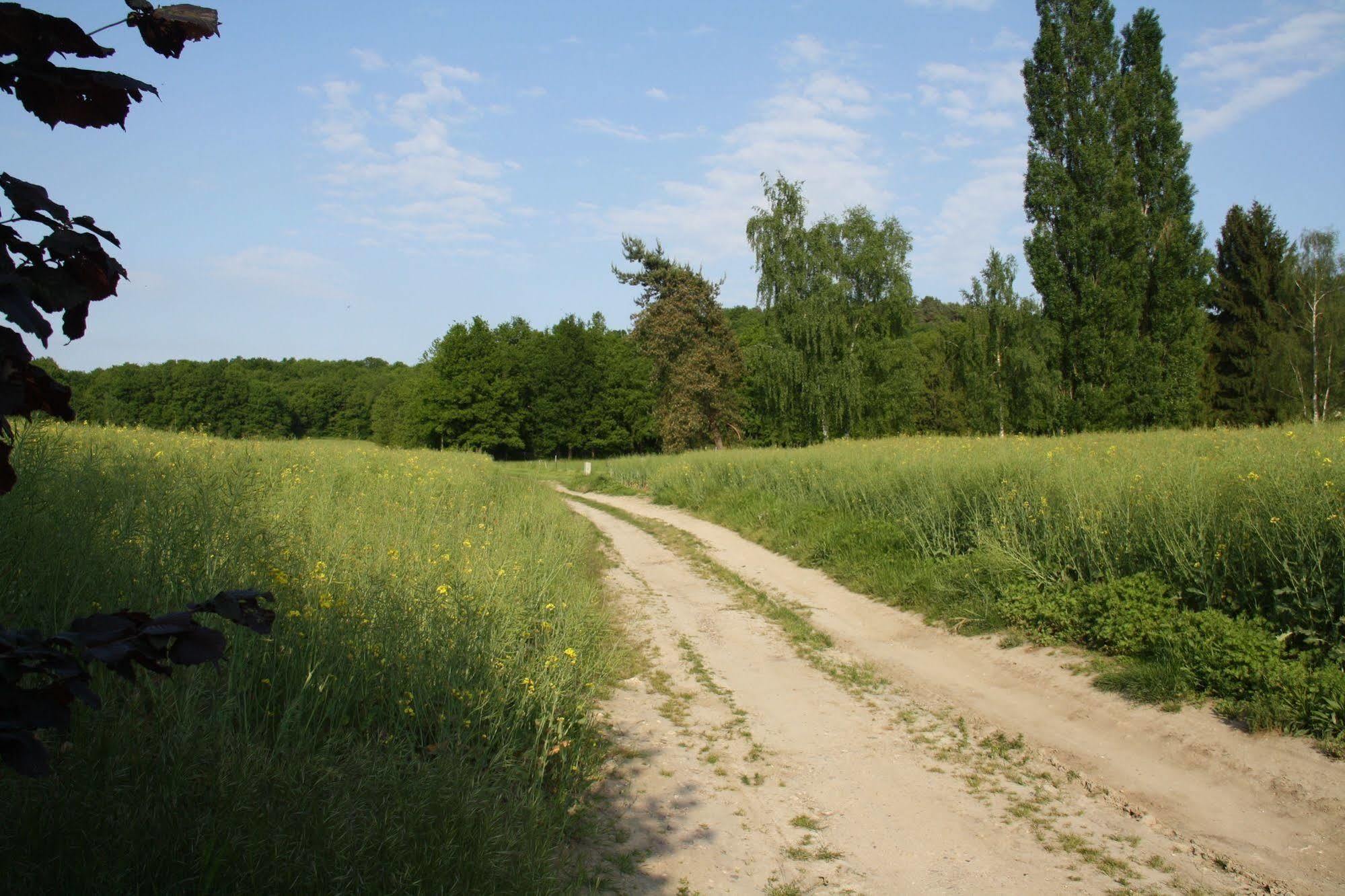 La Raimbaudiere Bed & Breakfast Guigneville-sur-Essonne ภายนอก รูปภาพ